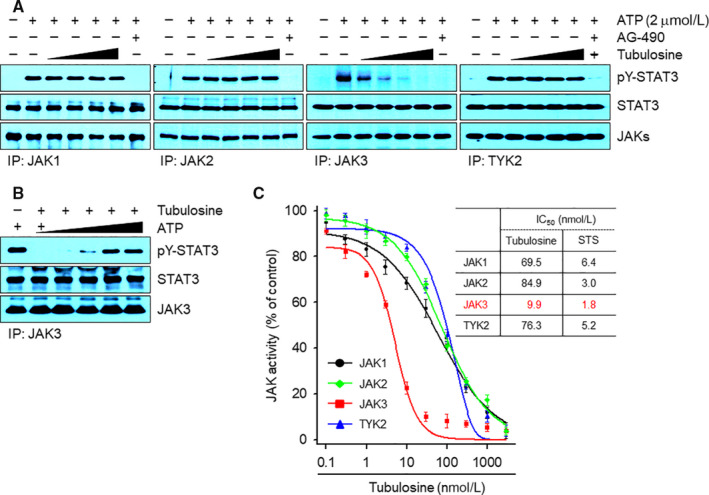 FIGURE 2