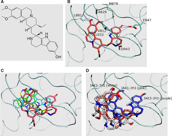 FIGURE 1