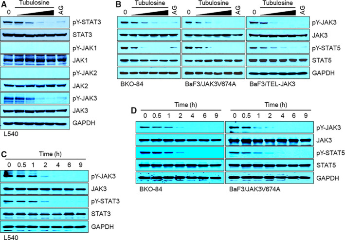 FIGURE 3