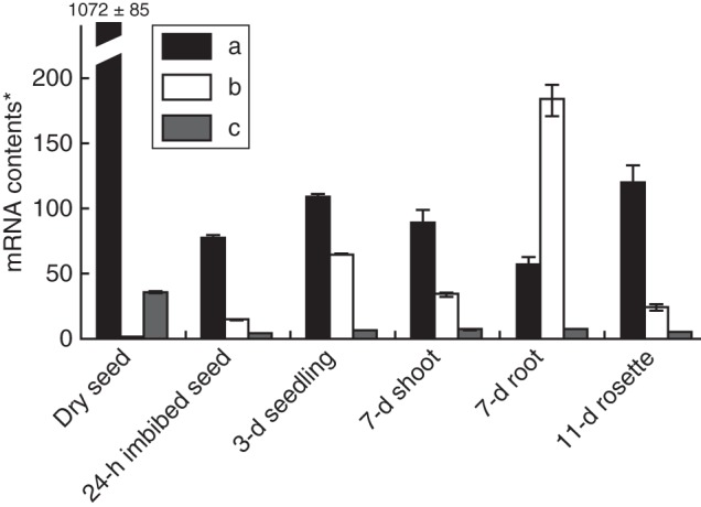 Fig. 12.