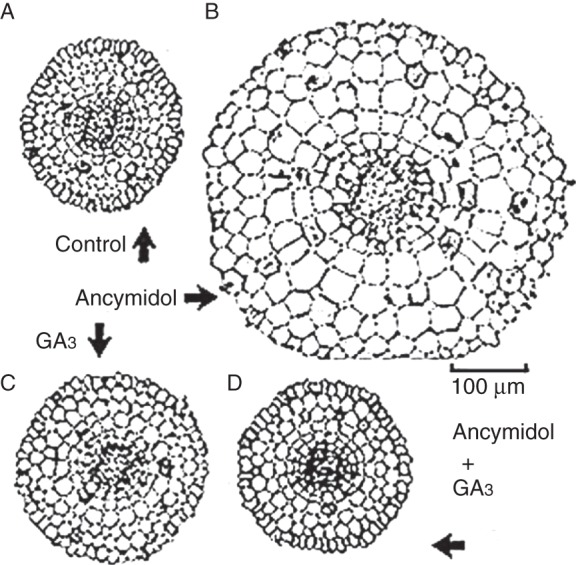 Fig. 8.