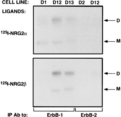 FIG. 5