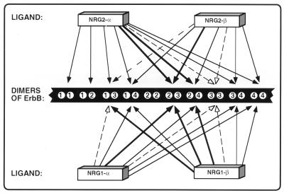FIG. 8