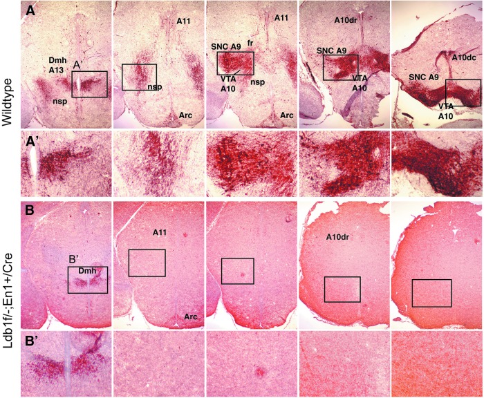 FIG. 4.