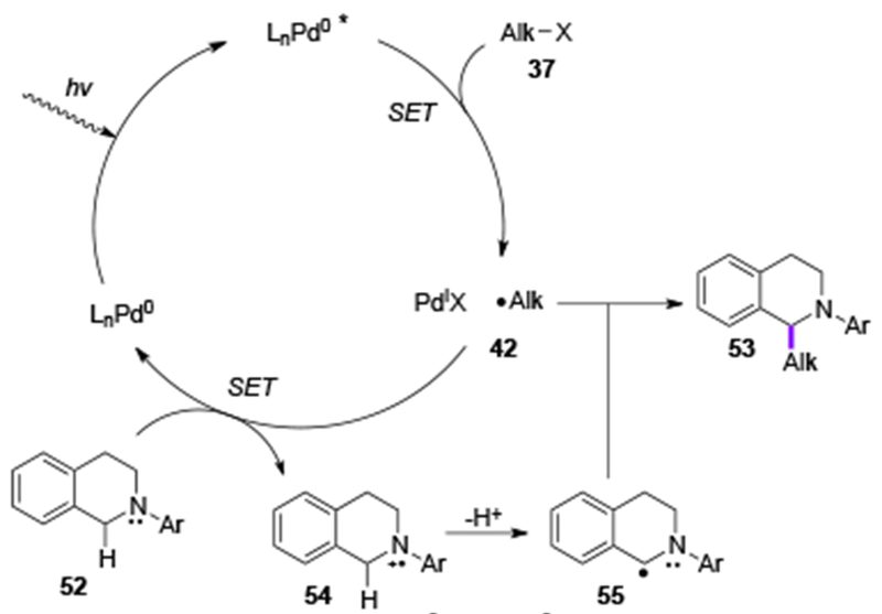 Scheme 12.