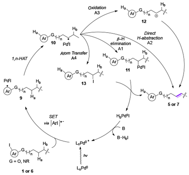 Scheme 3.