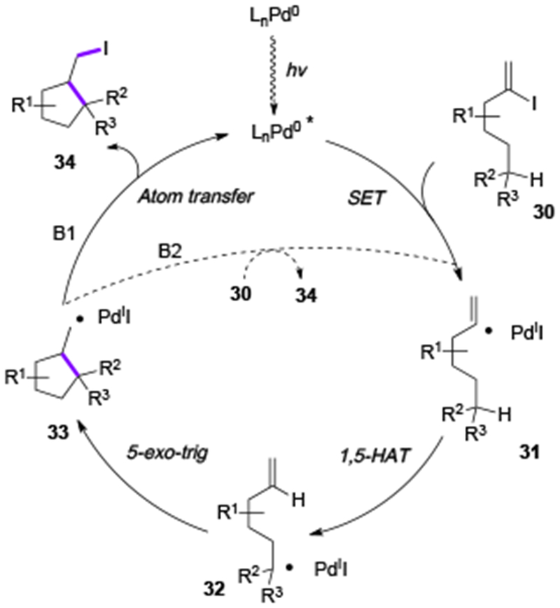 Scheme 8.