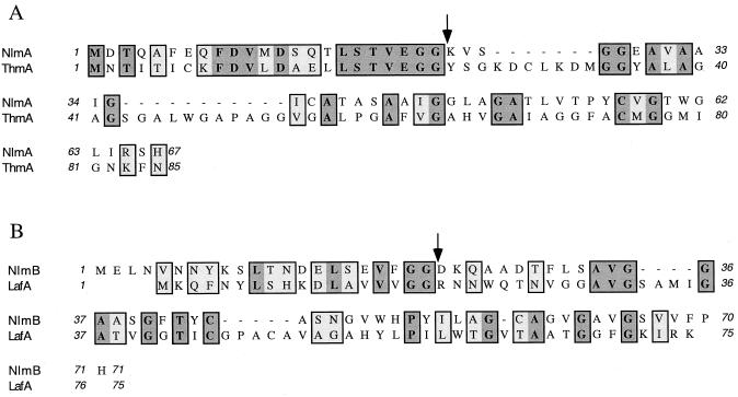 FIG. 5