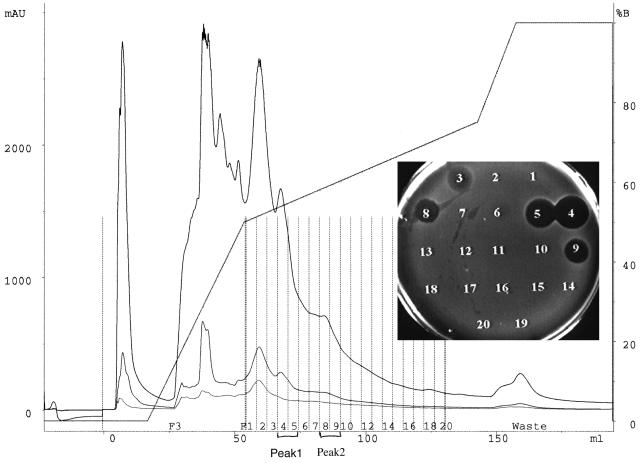 FIG. 1