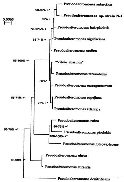 FIG. 1