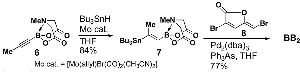 Scheme 3