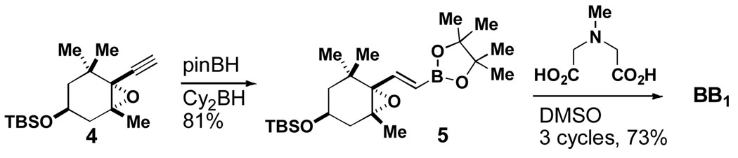 Scheme 2