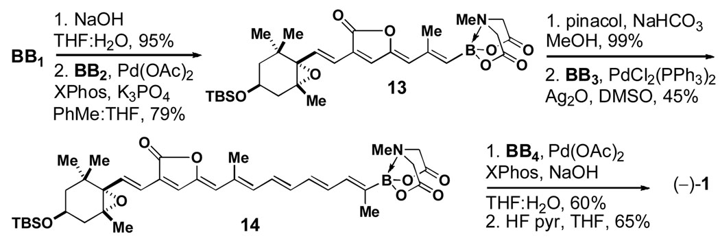 Scheme 5