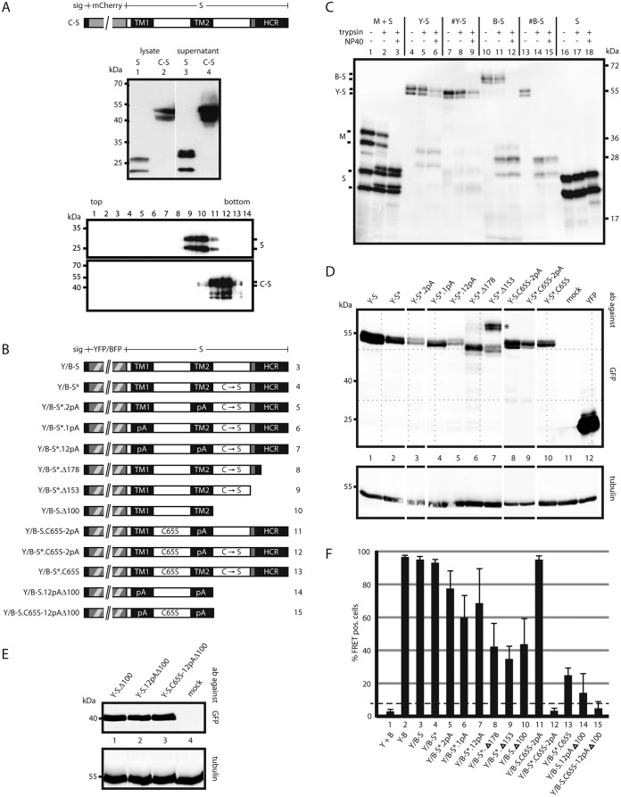 FIG 4