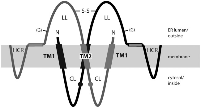 FIG 5