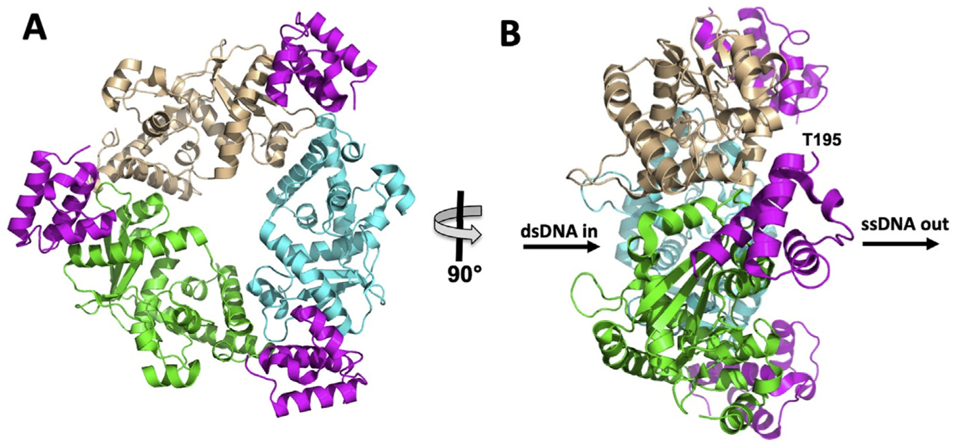 Fig. 9.