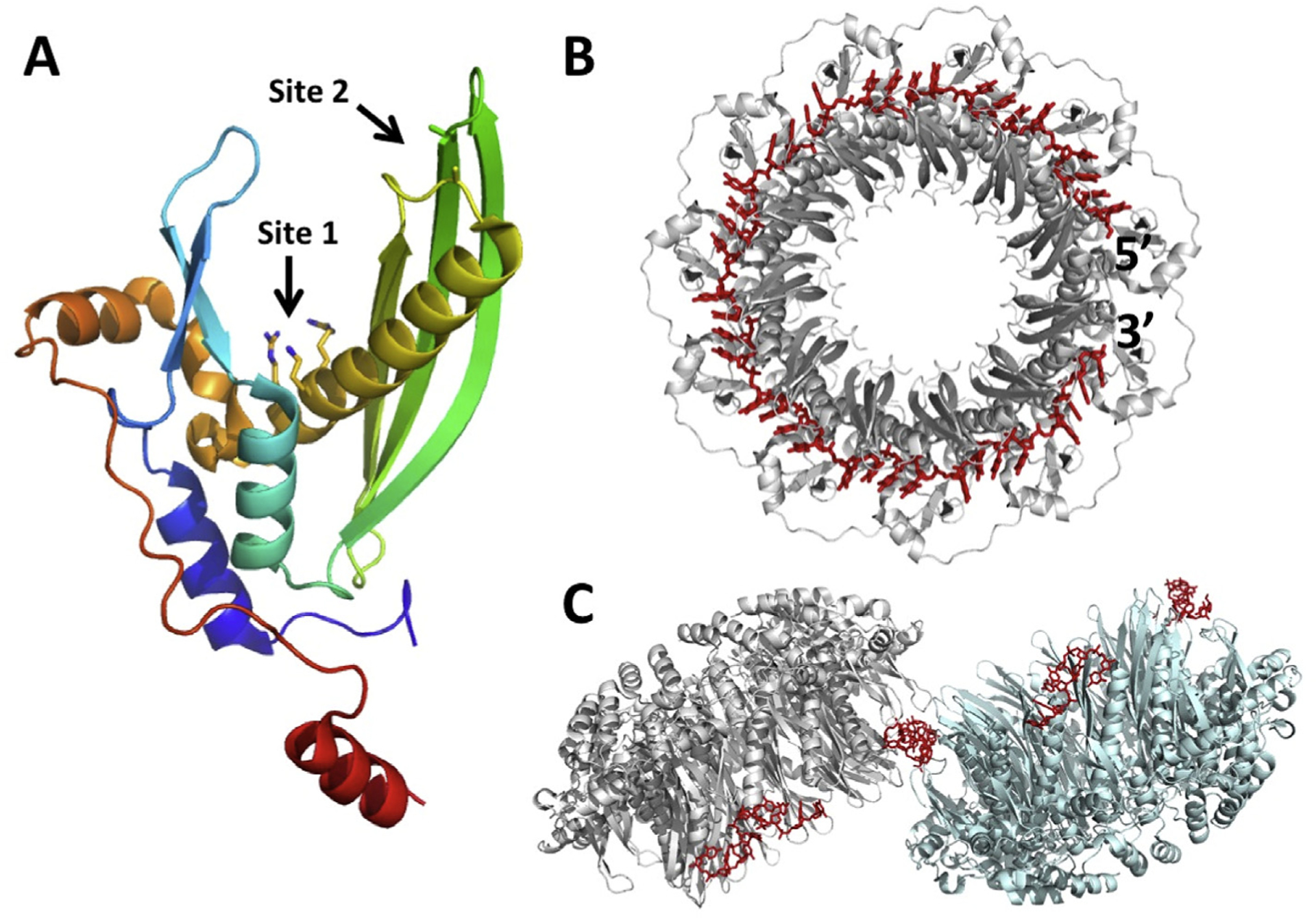 Fig. 7.