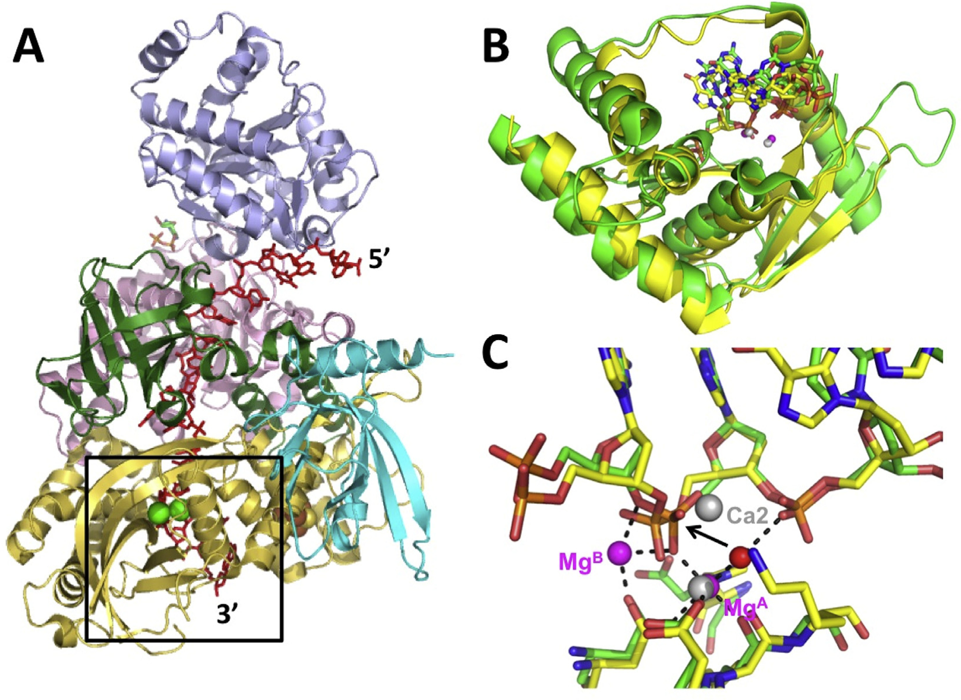 Fig. 4.