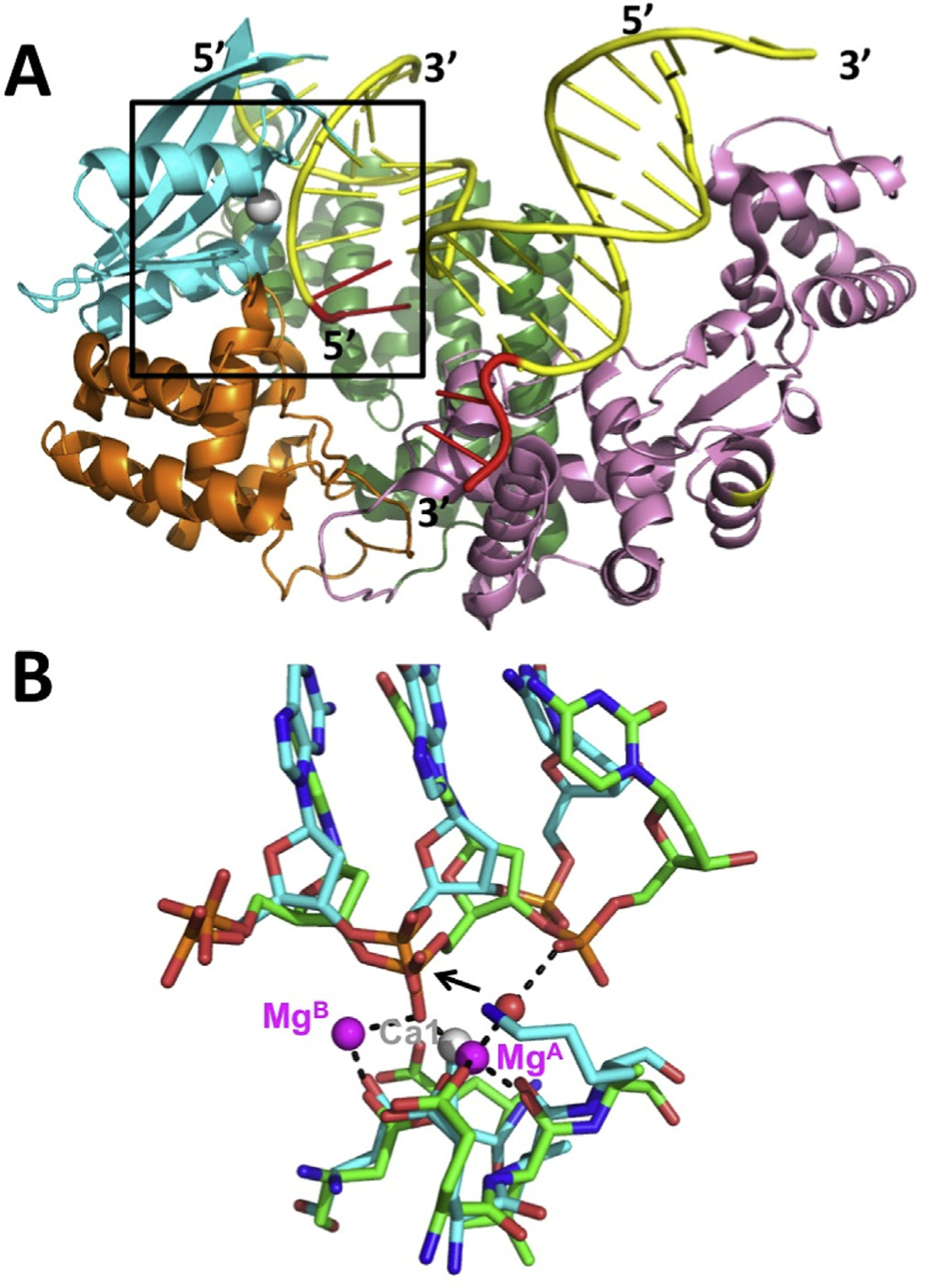 Fig. 5.