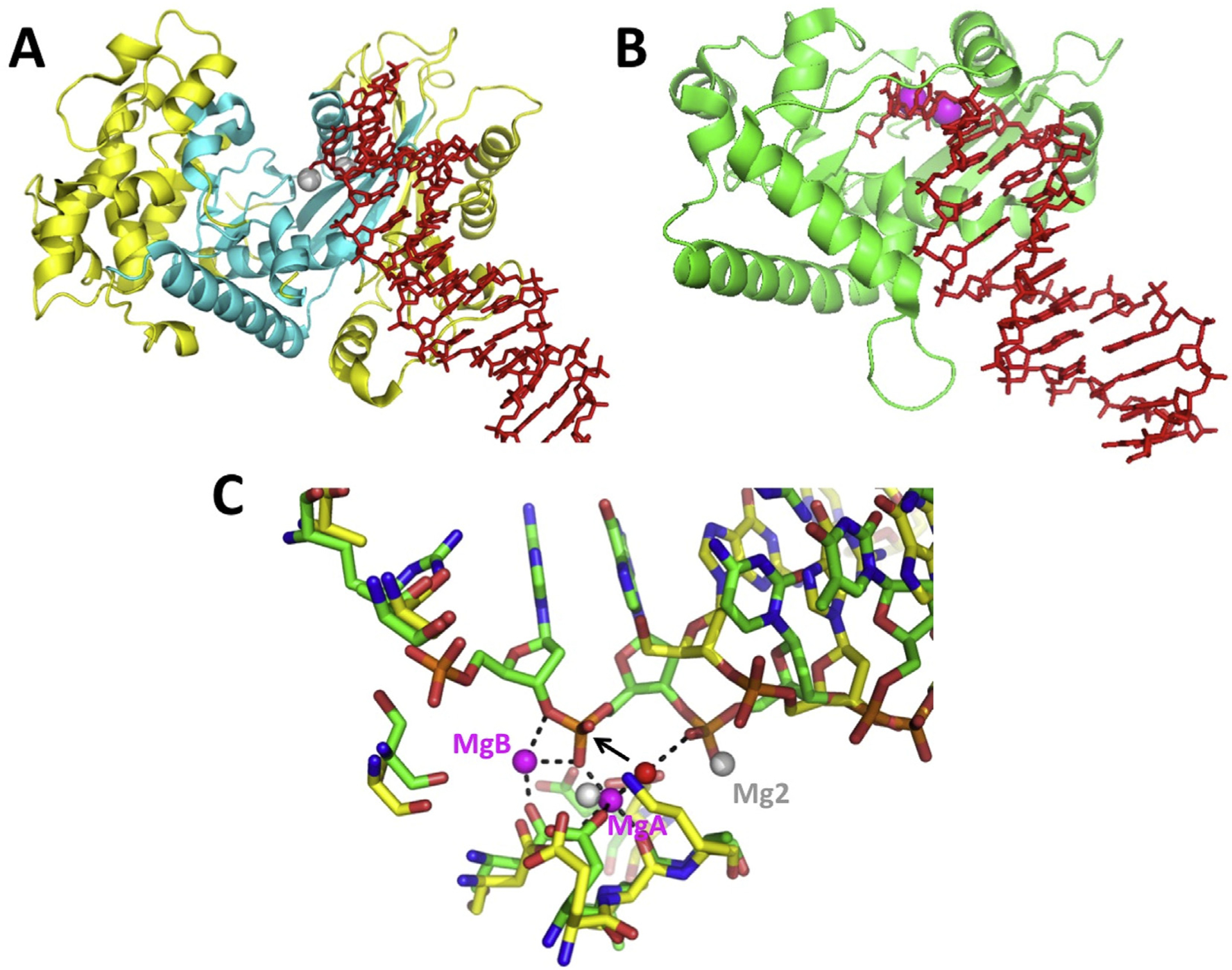 Fig. 3.