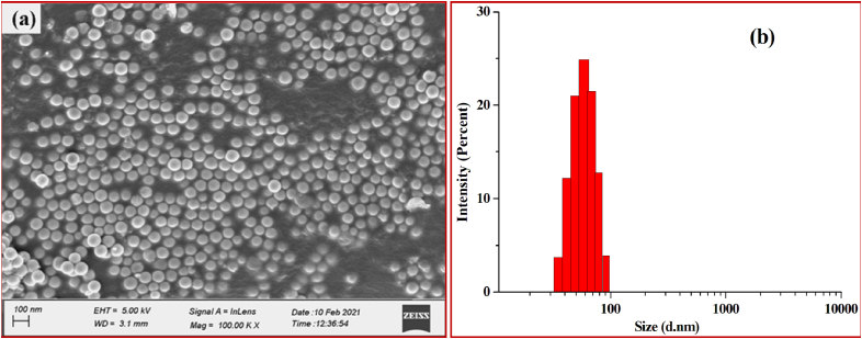 Figure 5