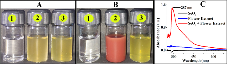 Figure 2