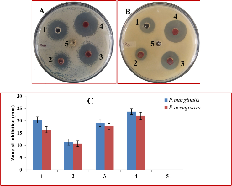 Figure 7