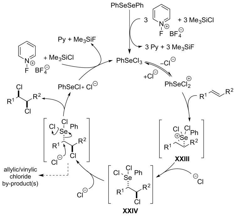 Scheme 50