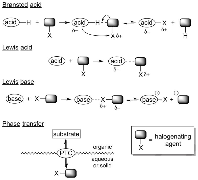 Scheme 10