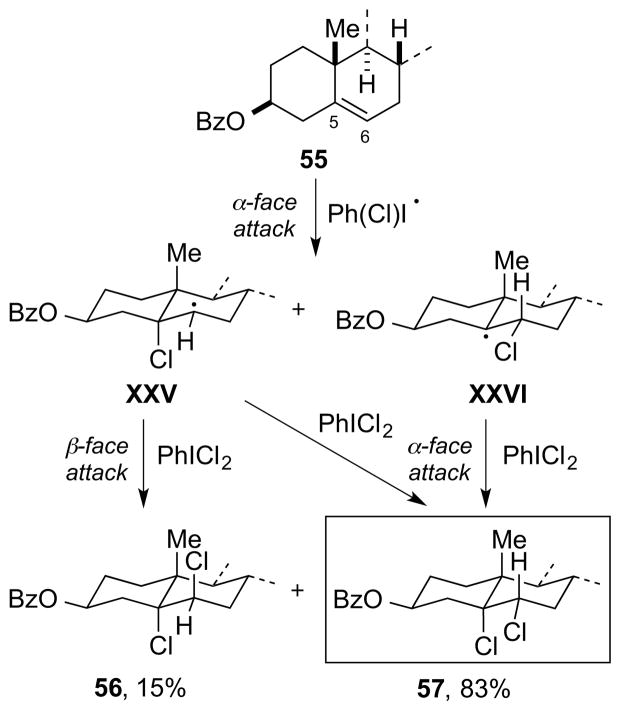 Scheme 53