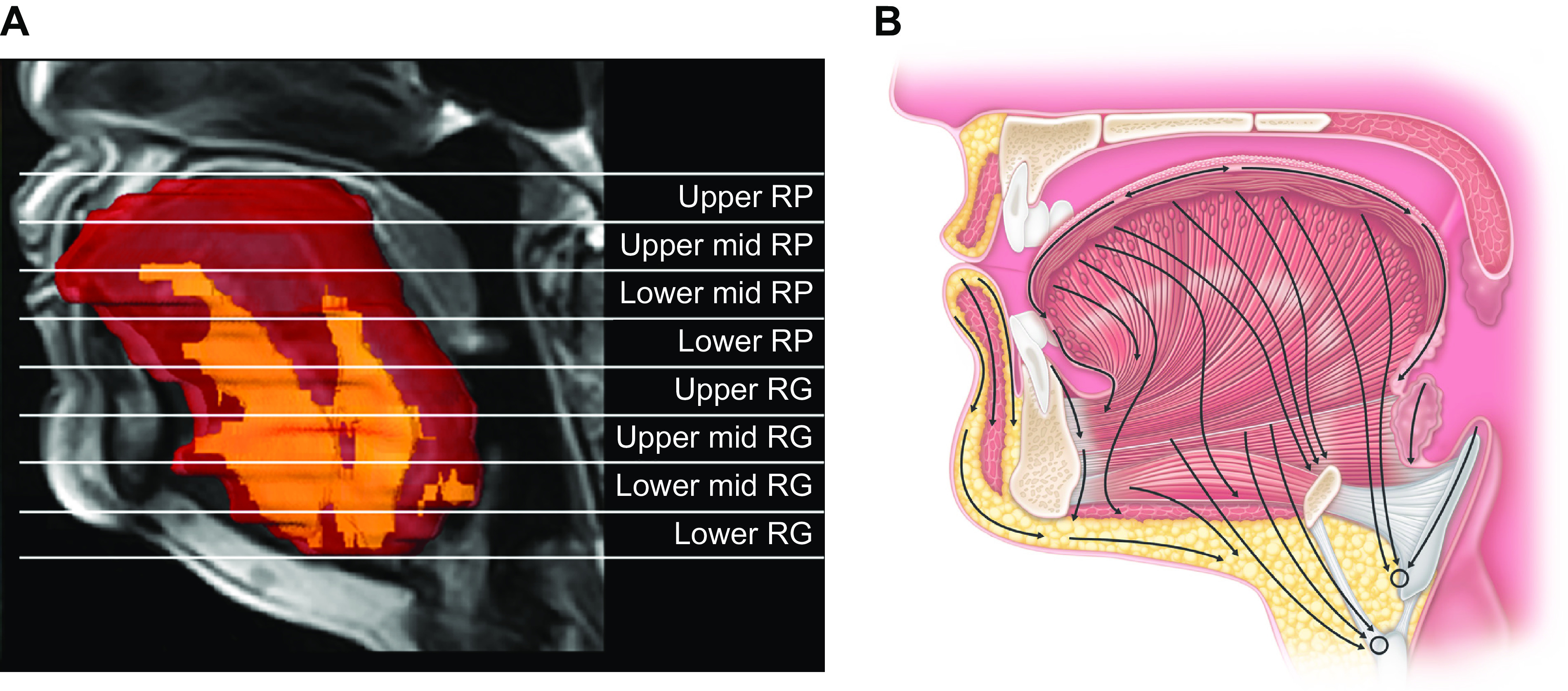 FIGURE 10.