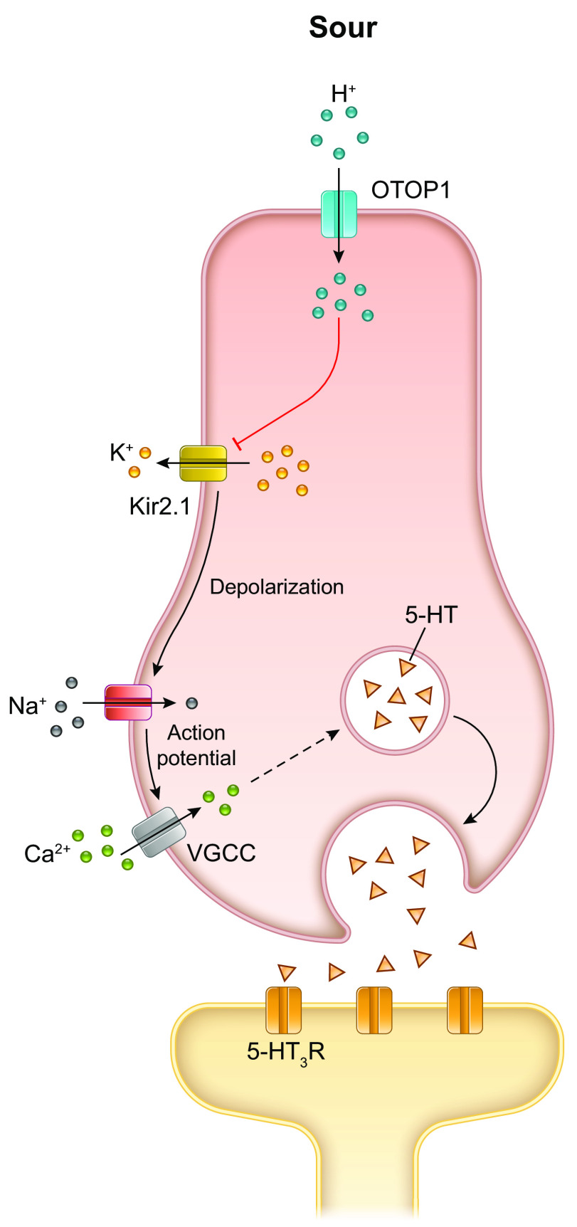 FIGURE 7.