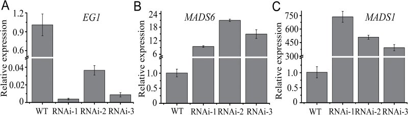 Fig. 7.