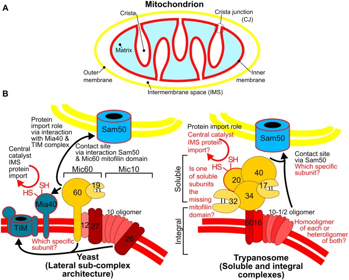 Fig 2