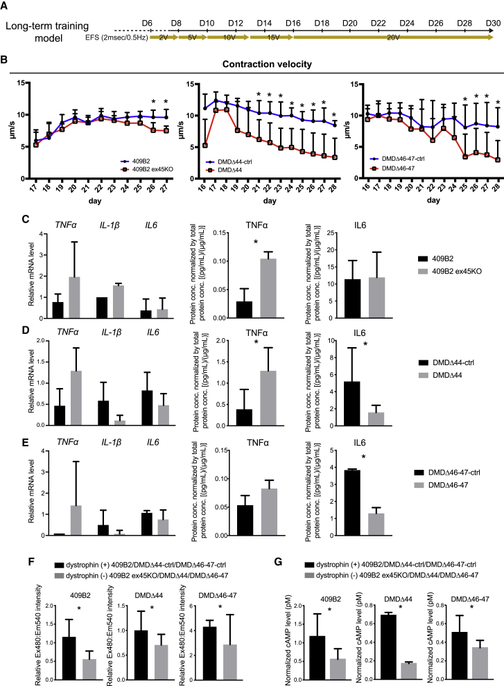 Figure 4