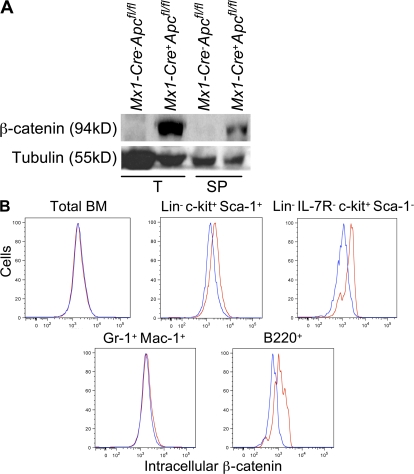 Figure 9.