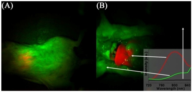 Figure 16