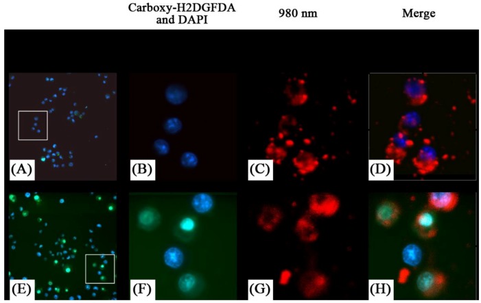 Figure 20