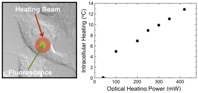 Figure 23