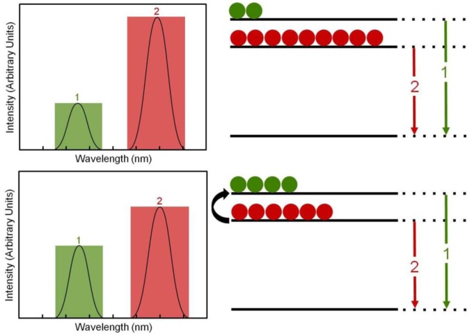 Figure 22