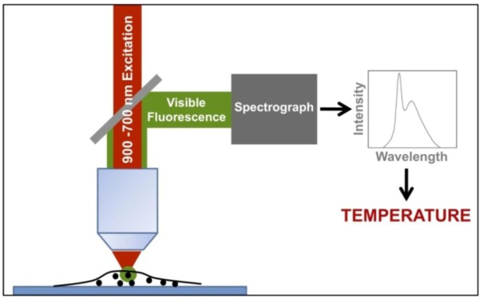 Figure 21