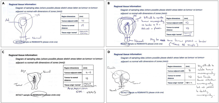 Figure 3