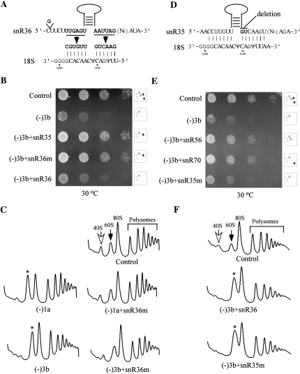 FIGURE 7.