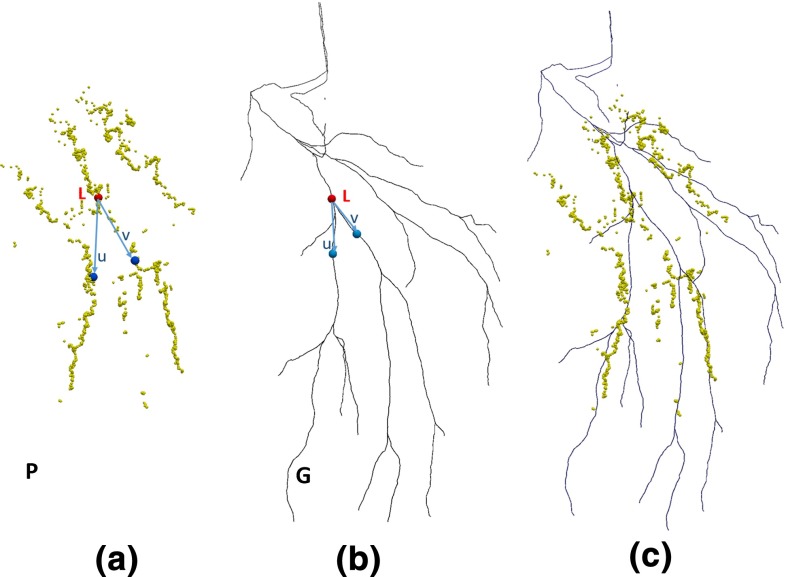 Fig. 6