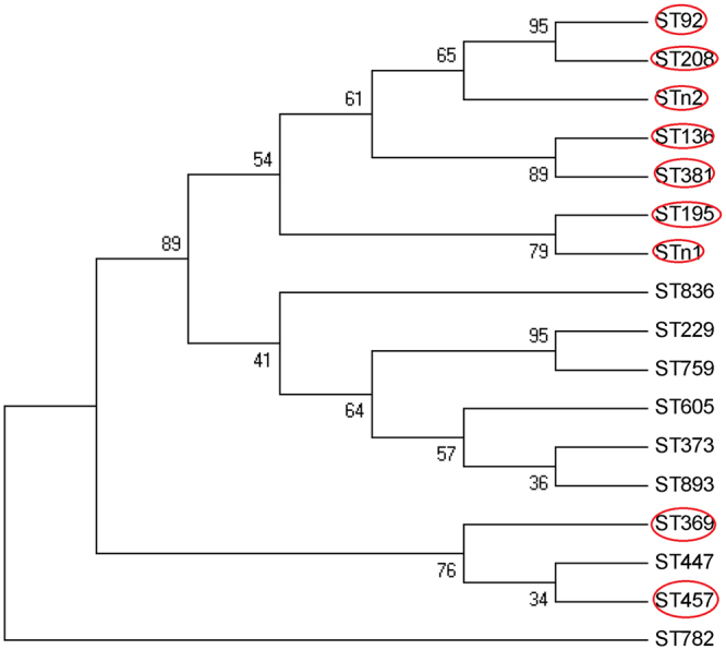 Figure 2