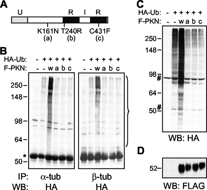 Fig. 9.