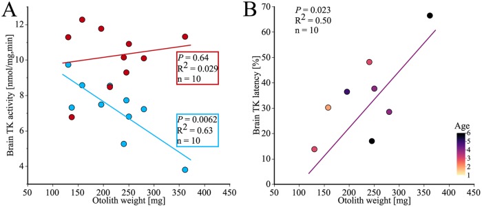 Fig 8