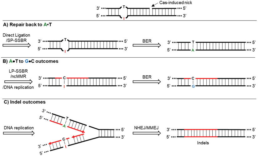 Figure 6: