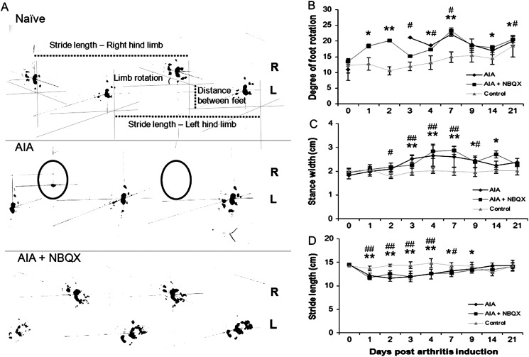 Figure 4