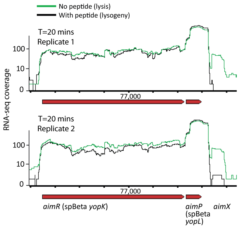 Extended data figure 7